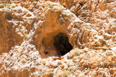 Les gorges de Toudgha, Maroc : Fati’s blog