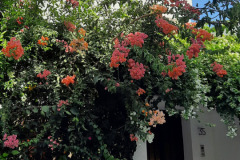 42121F8F-0875-4865-BFDD-CA4CF1E1FE41