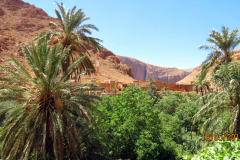 Les gorges de Toudgha, Maroc : Fati’s blog