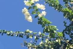 5CD03B97-9881-48F9-8AE8-D87AA8D0C8F5