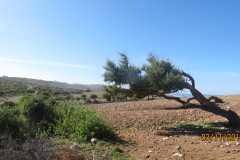 6C618B86-262F-49F0-B981-4D0207FE1AA9