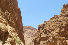 Les gorges de Toudgha, Maroc : Fati’s blog