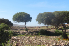 Essaouira 2015 : Fati’s blog