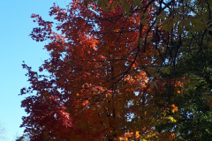 B30769BA-5548-4854-B24C-CC1AE405C7DF