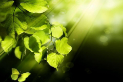 Paysage de Marrakech : Fati’s blog