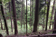 Neureuth, Bavière, Allemagne : Fati’s blog