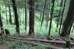 Neureuth, Baviere, Allemagne : Fati’s blog